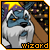tcg_wizardr.gif