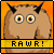 walkingcarpet_rawr.gif